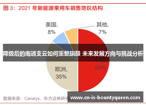 降级后的南通支云如何重整旗鼓 未来发展方向与挑战分析